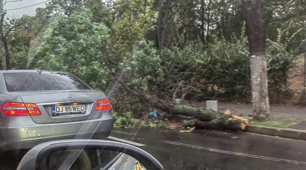 Imagine despre furtună violentă bucurești - Top10stiri.ro