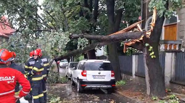 Vizual pentru igsu apeluri regiunea pe Top10stiri.ro