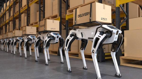 Vizual pentru viitorul livrărilor sosit pe Top10stiri.ro