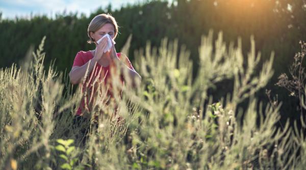 Vizual pentru ambrozia calvar bucureșteni pe Top10stiri.ro