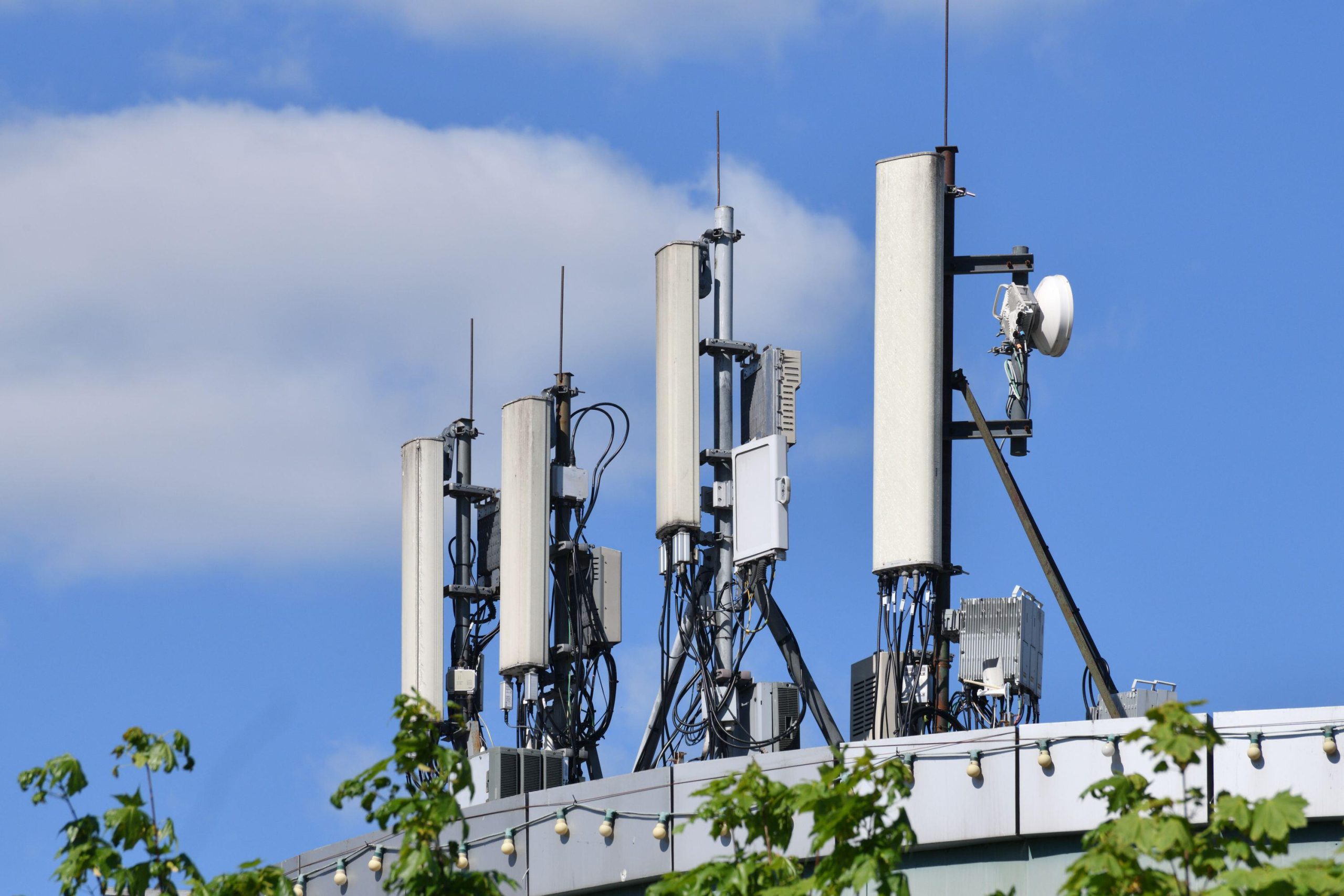 imaginile dezvăluie planul - Imagine ilustrativă