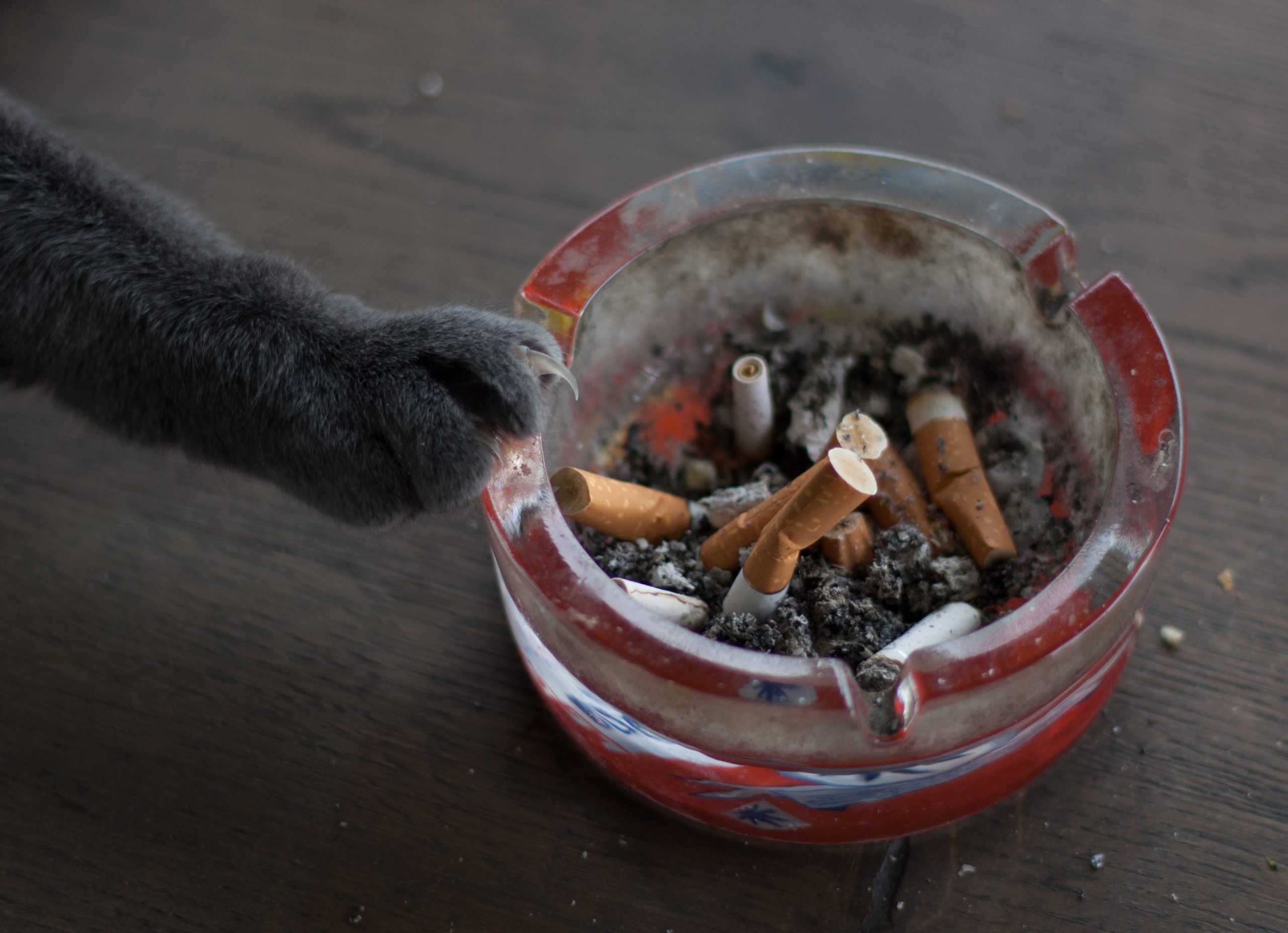 fumatul pasiv poate - Imagine ilustrativă