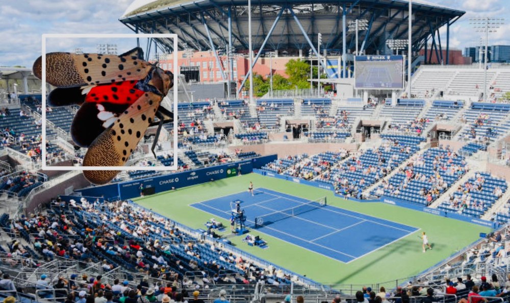 Vizual pentru open terorizat invazie pe Top10stiri.ro