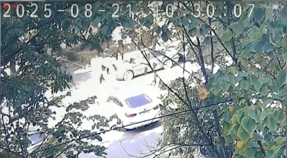 Vizual pentru mărturii cutremurătoare crima pe Top10stiri.ro