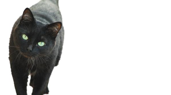 Imagine despre spune senzația déjà - Top10stiri.ro