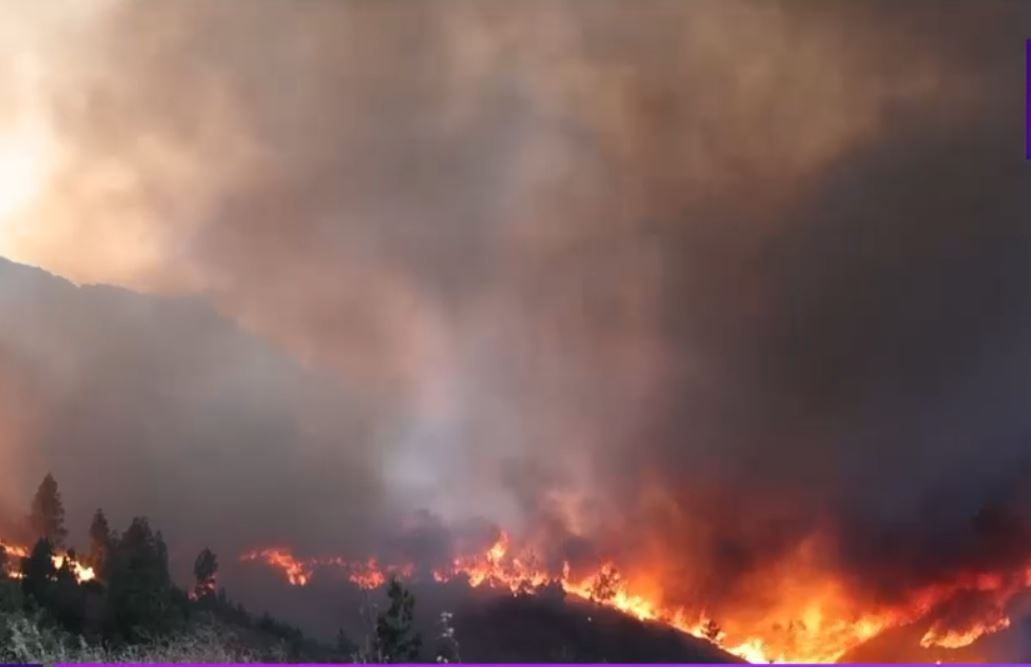 Foto reprezentând peste piromani arestaţi - Știri România