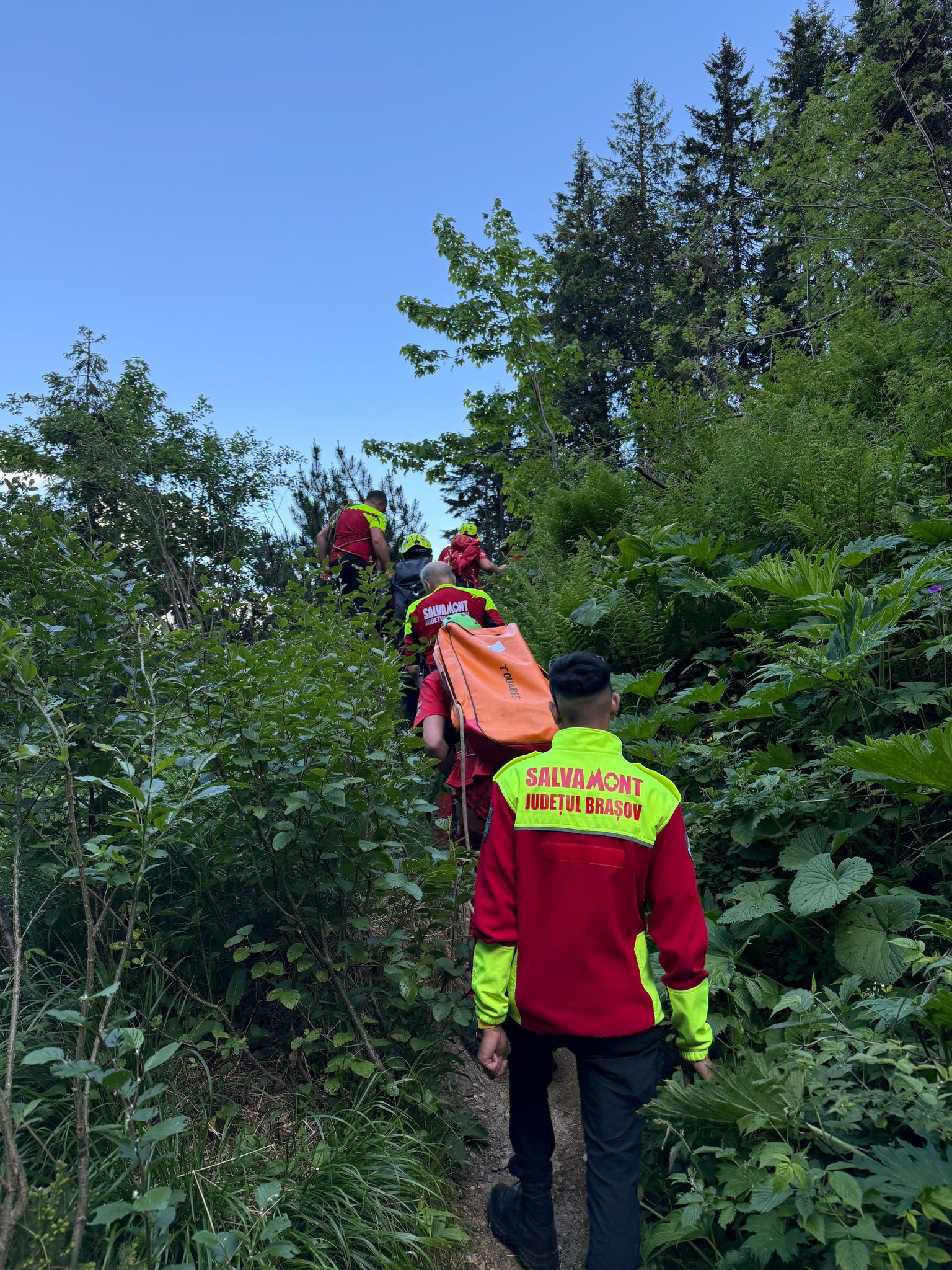 Vizual pentru peste persoane salvate pe Top10stiri.ro