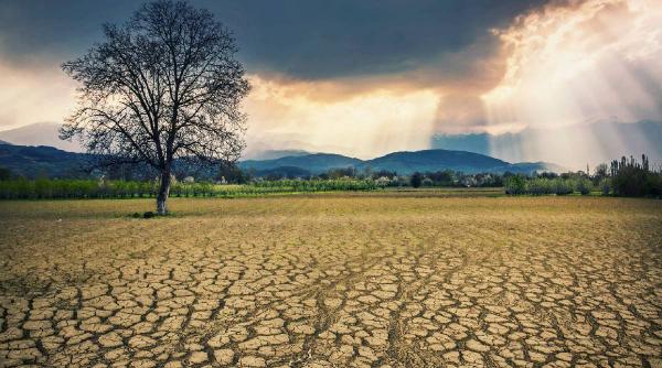 putem face lucrurile - Imagine ilustrativă