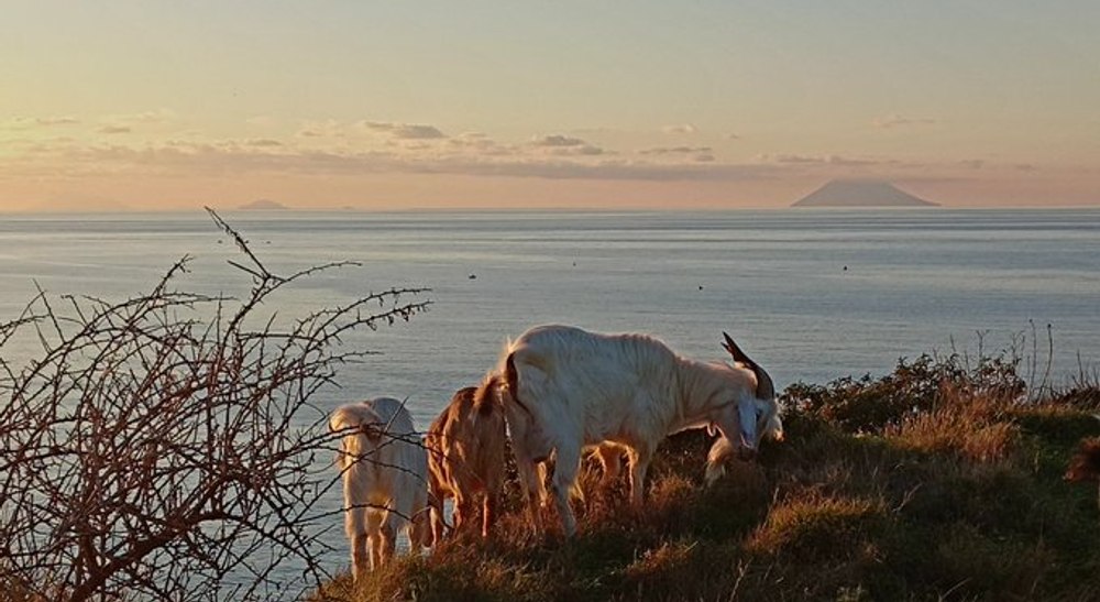 insula italiană terorizată - Imagine ilustrativă