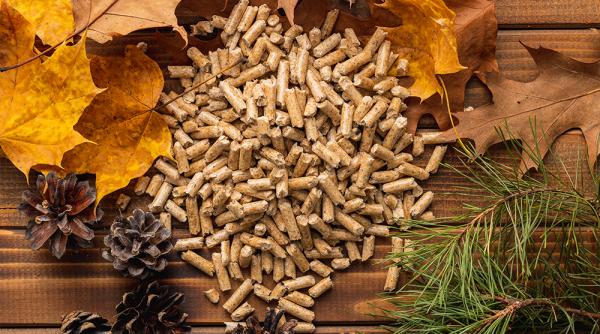 Foto reprezentând centralele peleți între - Știri România