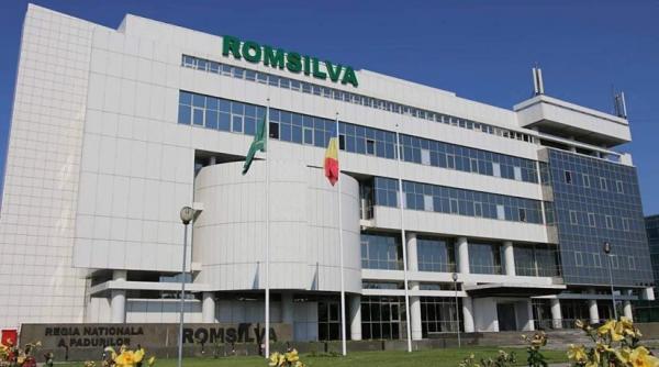 Vizual pentru ales noul director pe Top10stiri.ro