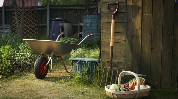 Foto reprezentând spune cseke attila - Știri România