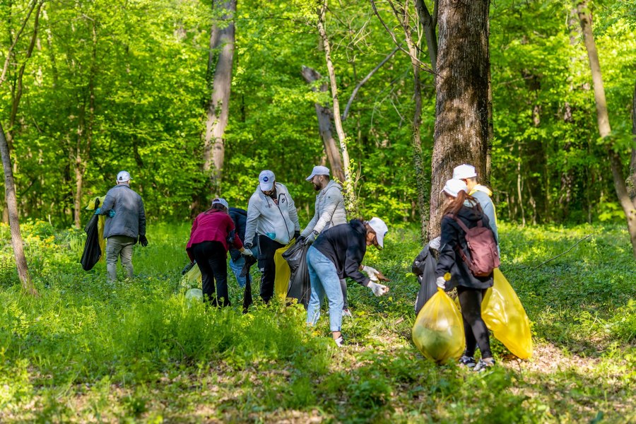 Vizual pentru proiect supravegherea activității pe Top10stiri.ro