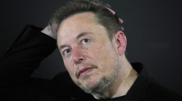 Imagine despre musk pierde teren - Top10stiri.ro