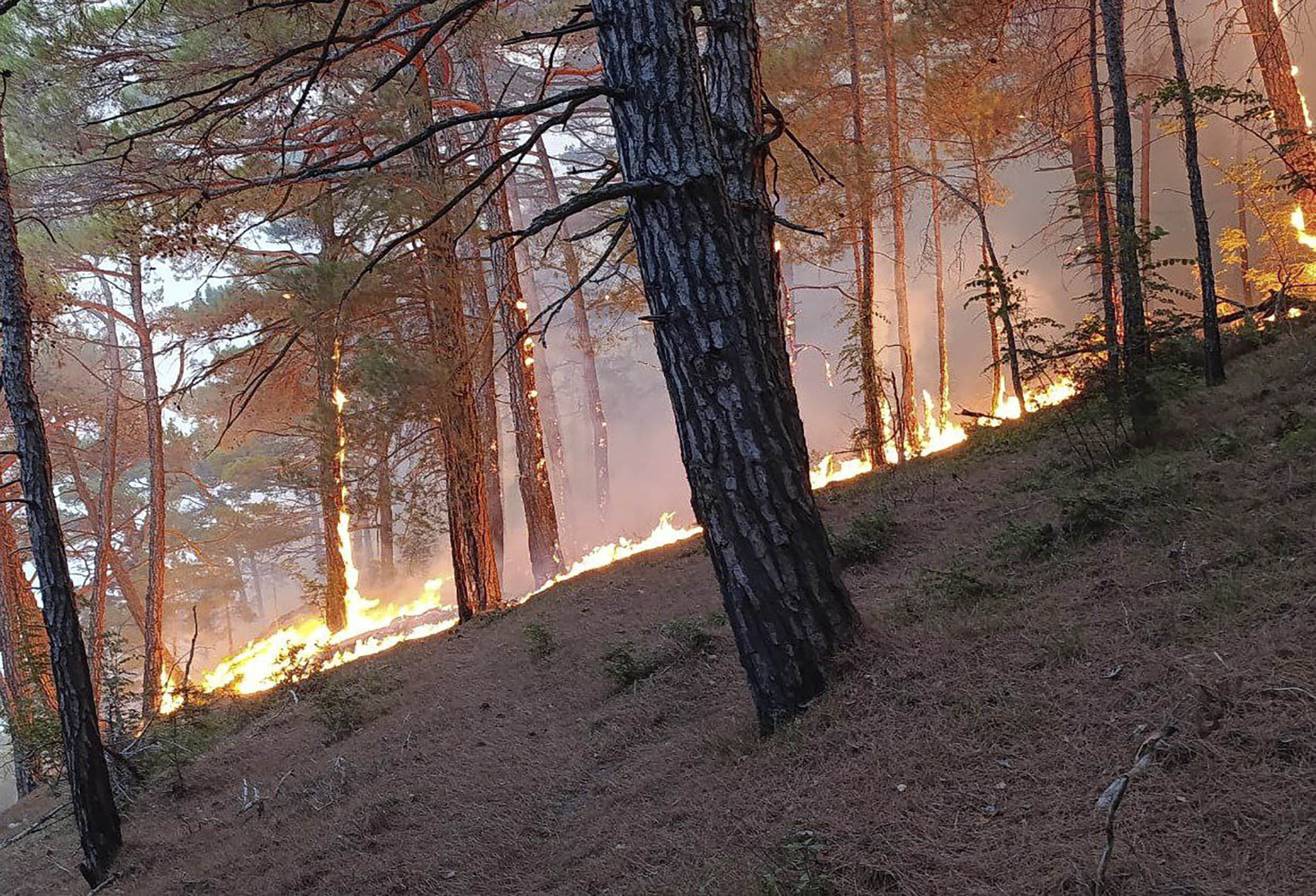 Vizual pentru incendiu coasta mării pe Top10stiri.ro