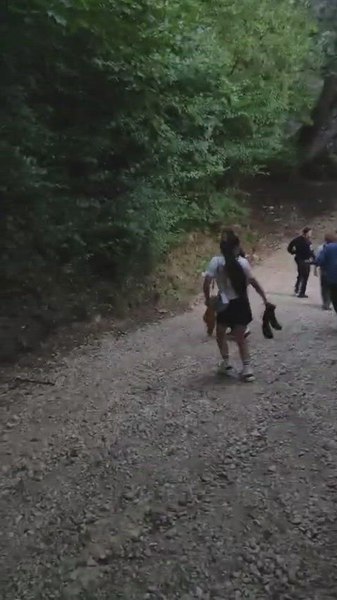 Vizual pentru ursoaică trei băgat pe Top10stiri.ro