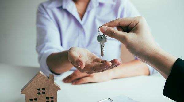 reguli proprietarii își - Imagine ilustrativă