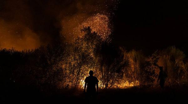 băiat recunoscut provocat - Imagine ilustrativă