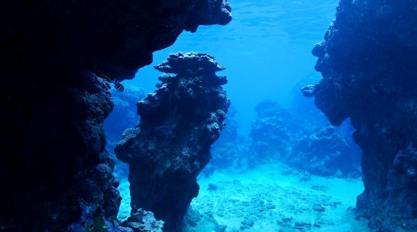 rețea ascunsă peste - Imagine ilustrativă