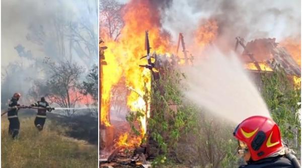 Imagine despre incendiile vegetație prăpăd - Top10stiri.ro