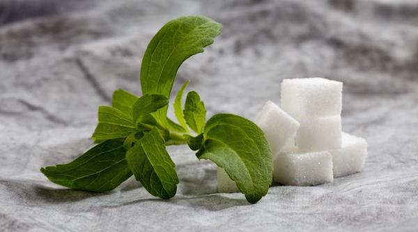 Vizual pentru Îndulcitorul natural zero pe Top10stiri.ro