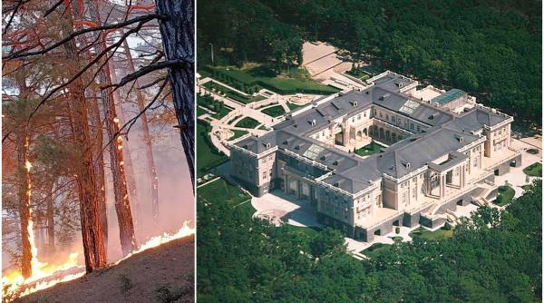 pădurea înconjoară palatul - Imagine ilustrativă