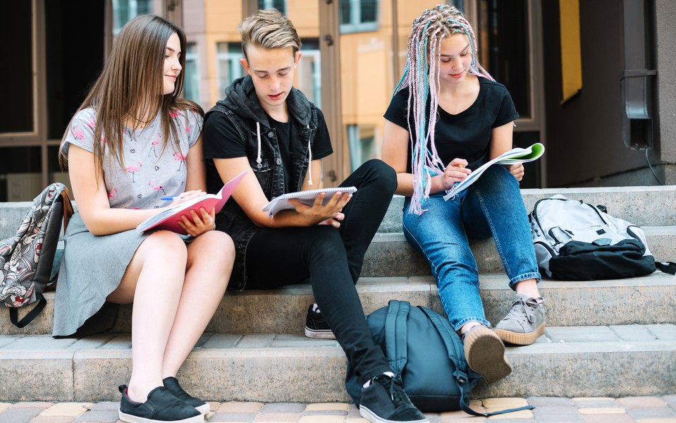 Care sunt cele mai bune țări din Europa pentru studenții care doresc să lucreze în timpul facultății. Reguli de muncă și salarii