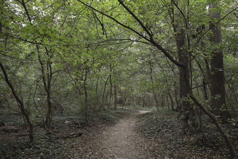 Imagine despre ministra mediului organizează - Top10stiri.ro