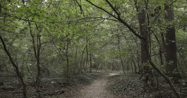 Vizual pentru ministra mediului organizează pe Top10stiri.ro