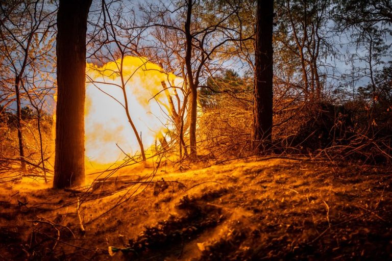 Imagine despre putea trimite contractori - Top10stiri.ro