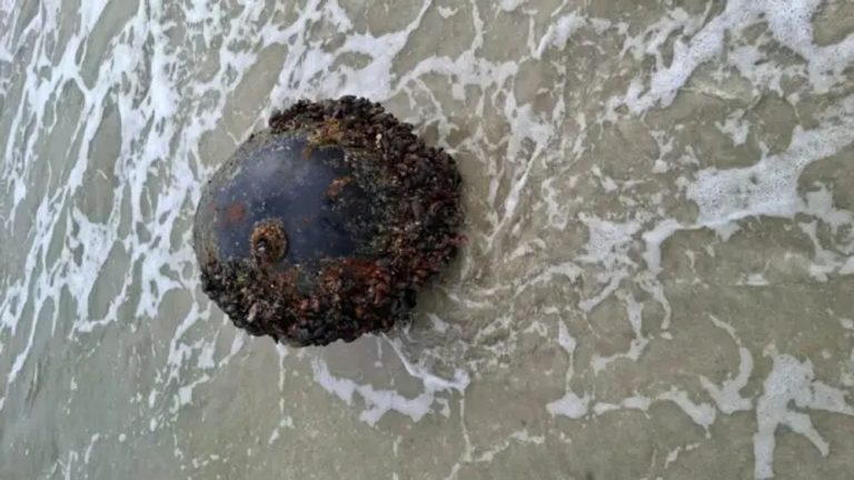 Vizual pentru mină marină descoperită pe Top10stiri.ro