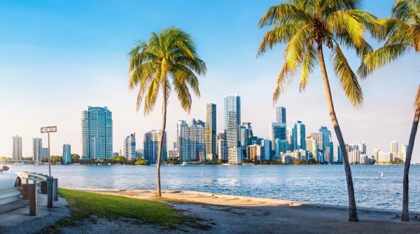 Austeritate la Guvern, vacanțe de lux la primării: Angajați trimiși 7 nopți la Miami să învețe despre sărăcia din România