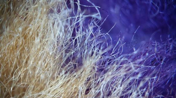 Oamenii de știință au înghesuit un întreg computer într-o singură fibră de îmbrăcăminte. Poate fi băgat chiar și la mașina de spălat