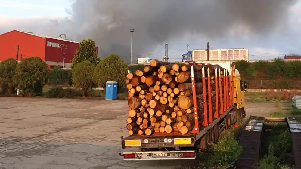 Foto reprezentând incendiu devastator fabrică - Știri România