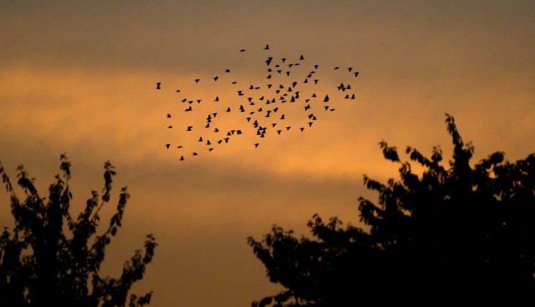 Vizual pentru vremea până jumătatea pe Top10stiri.ro