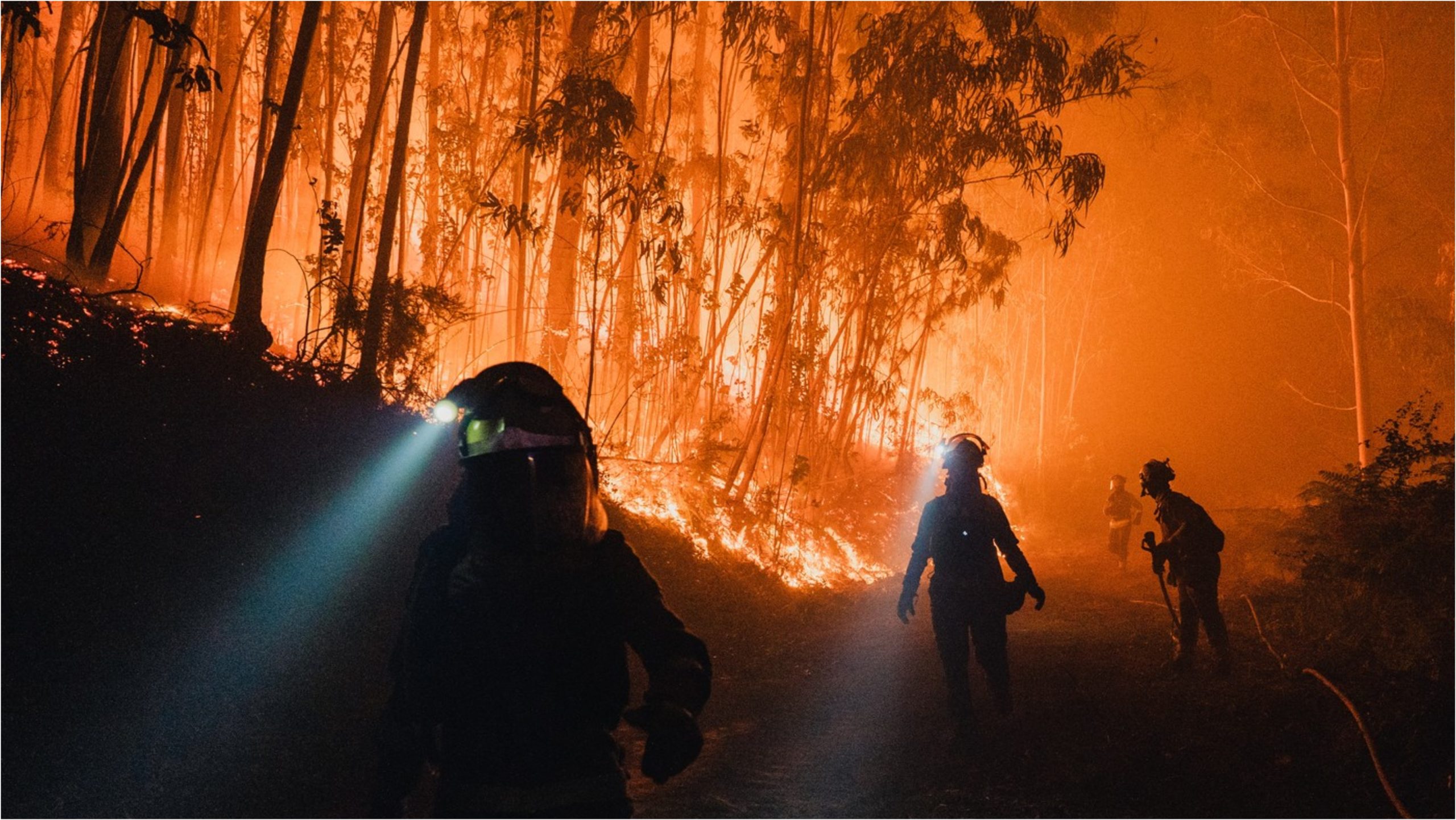 „Hățișul și pădurile invadează satele”: Cum contribuie abandonarea zonelor rurale la producerea incendiilor devastatoare din Europa