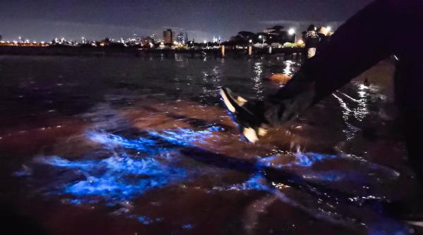 Fenomen natural spectaculos pe o plajă din Australia. Cei care erau acolo au povestit că a fost „magic și cosmic”