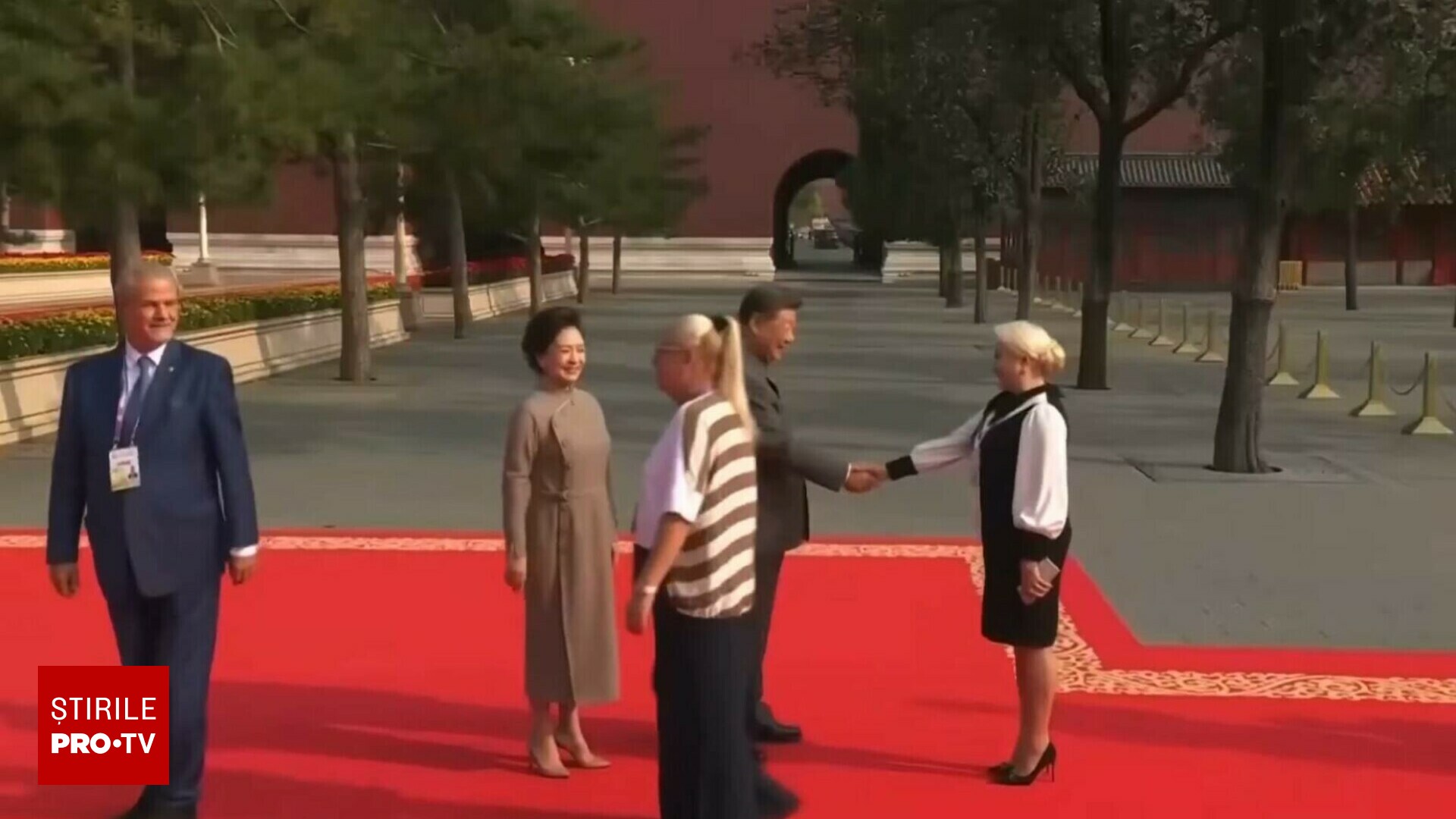 reacția năstase dăncilă - Imagine ilustrativă