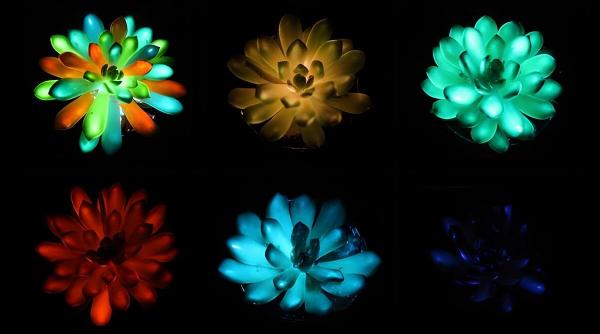 Plantele reîncărcabile la Soare care luminează multicolor în întuneric au fost create în China: „Imaginați-vă lumea din Avatar”