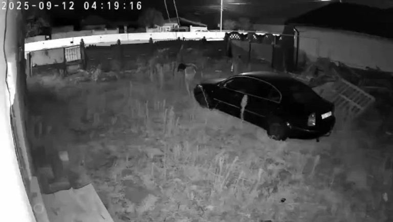 Imagine despre alertă dolj văzut - Top10stiri.ro