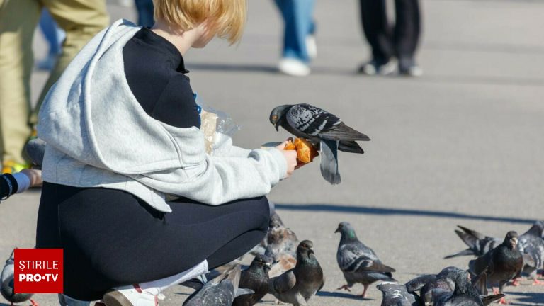 femeie iași cercetată - Imagine ilustrativă