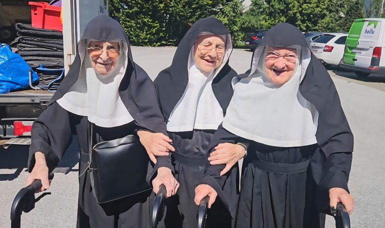 bine pajiște decât - Imagine ilustrativă