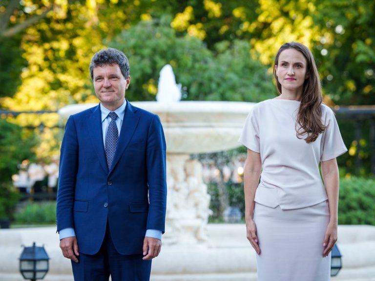 cât mulțumit nicușor - Imagine ilustrativă