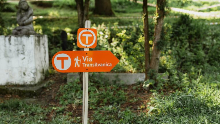 ministrul dragoș pîslaru