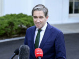 vicepremierul irlandez simon