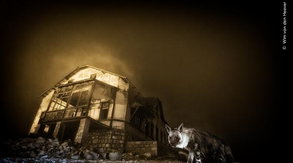 Foto reprezentând Într oraş fantomă - Știri România