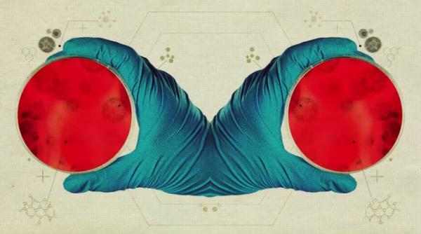 viața oglindă quot - Imagine ilustrativă