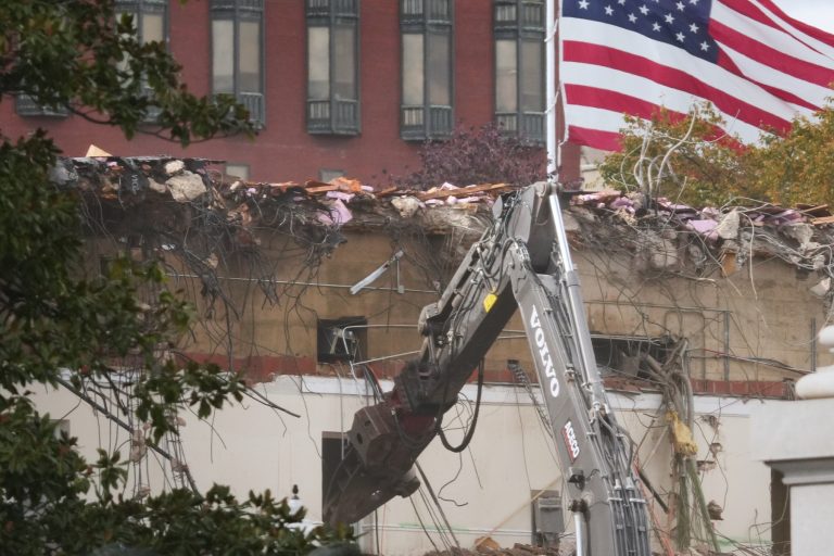 aripa estică casei - Imagine ilustrativă