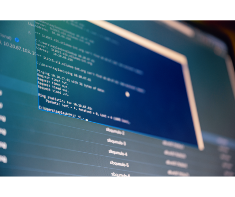 servicii it externalizate