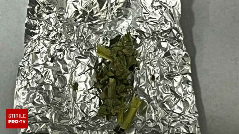 Vizual pentru parcă leuștean jandarmii pe Top10stiri.ro